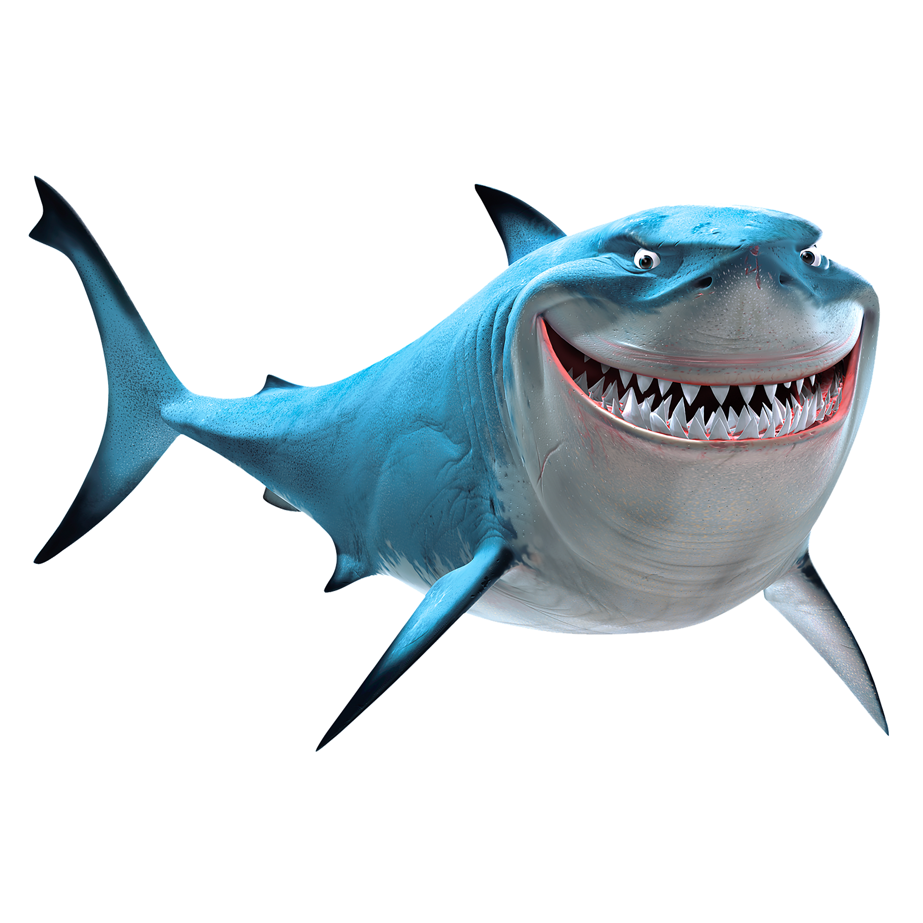 shark